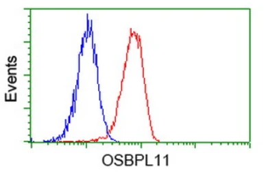 Anti-OSBPL11 antibody [6A6] used in Flow cytometry (FCM). GTX83960
