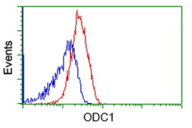 Anti-ODC antibody [1G6] used in Flow cytometry (FCM). GTX83968