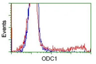 Anti-ODC antibody [1G6] used in Flow cytometry (FCM). GTX83968