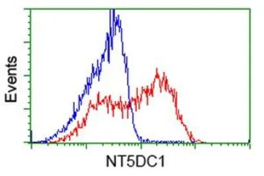 Anti-NT5DC1 antibody [1E11] used in Flow cytometry (FCM). GTX83992