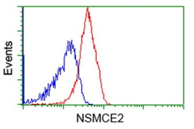 Anti-NSE2 antibody [6A6] used in Flow cytometry (FCM). GTX83995