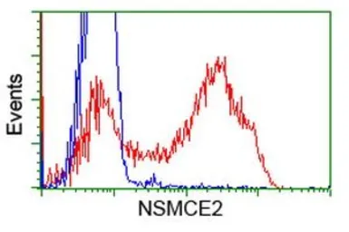 Anti-NSE2 antibody [6A6] used in Flow cytometry (FCM). GTX83995
