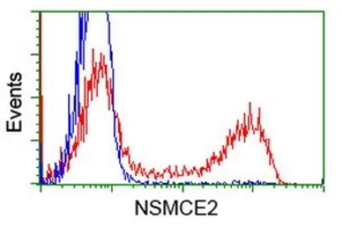 Anti-NSE2 antibody [4H9] used in Flow cytometry (FCM). GTX83996