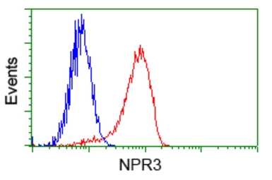 Anti-NPR-C antibody [4C3] used in Flow cytometry (FCM). GTX84010