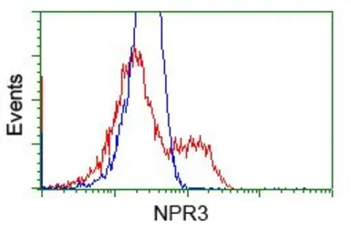 Anti-NPR-C antibody [4C3] used in Flow cytometry (FCM). GTX84010