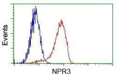 Anti-NPR-C antibody [4C3] used in  (). GTX84010
