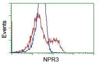 Anti-NPR-C antibody [4C3] used in  (). GTX84010