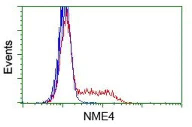 Anti-NME4 antibody [1A5] used in Flow cytometry (FCM). GTX84032