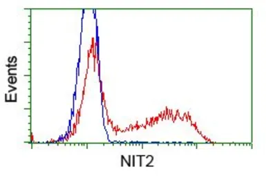 Anti-NIT2 antibody [3D5] used in Flow cytometry (FCM). GTX84039
