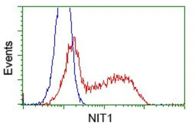 Anti-NIT1 antibody [3A11] used in Flow cytometry (FCM). GTX84041