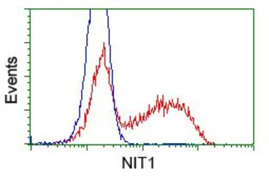 Anti-NIT1 antibody [4D12] used in Flow cytometry (FCM). GTX84042