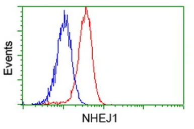 Anti-XLF antibody [1G7] used in Flow cytometry (FCM). GTX84043