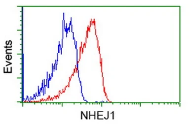 Anti-XLF antibody [1G7] used in Flow cytometry (FCM). GTX84043
