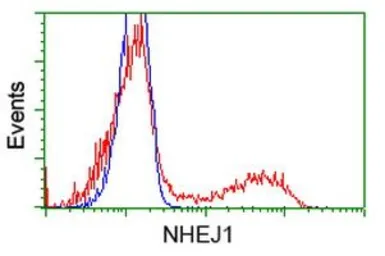 Anti-XLF antibody [3E5] used in Flow cytometry (FCM). GTX84044