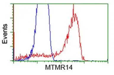 Anti-MTMR14 antibody [6B6] used in Flow cytometry (FCM). GTX84079