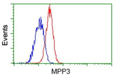 Anti-MPP3 antibody [8F1] used in Flow cytometry (FCM). GTX84090