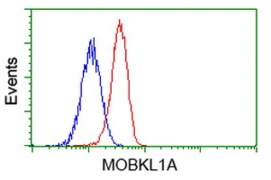 Anti-MOB1B antibody [1H2] used in Flow cytometry (FCM). GTX84105