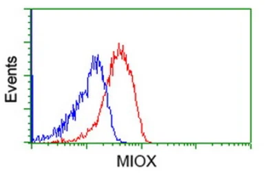 Anti-MIOX antibody [1C5] used in Flow cytometry (FCM). GTX84112