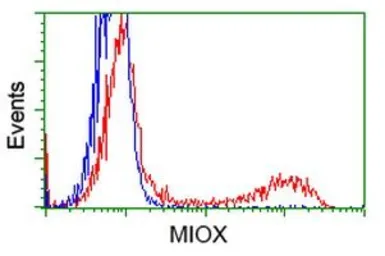 Anti-MIOX antibody [4G7] used in Flow cytometry (FCM). GTX84117