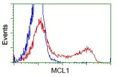 Anti-MCL1 antibody [10F6] used in Flow cytometry (FCM). GTX84140