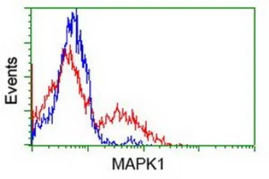 Anti-ERK2 antibody [6F8] used in Flow cytometry (FCM). GTX84154