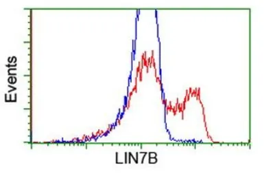 Anti-LIN7B antibody [1C9] used in Flow cytometry (FCM). GTX84216