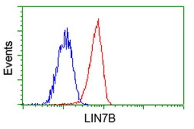 Anti-LIN7B antibody [1F11] used in Flow cytometry (FCM). GTX84218
