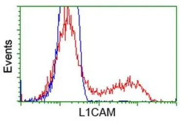 Anti-L1CAM antibody [2G9] used in Flow cytometry (FCM). GTX84232