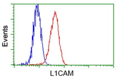 Anti-L1CAM antibody [2C7] used in Flow cytometry (FCM). GTX84241