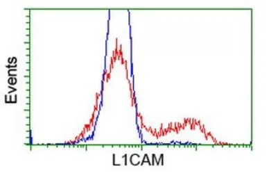 Anti-L1CAM antibody [2C7] used in Flow cytometry (FCM). GTX84241