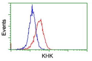 Anti-Ketohexokinase antibody [3D1] used in Flow cytometry (FCM). GTX84277