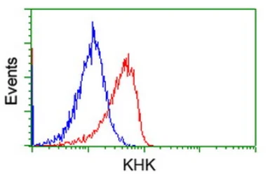 Anti-Ketohexokinase antibody [3D1] used in Flow cytometry (FCM). GTX84277