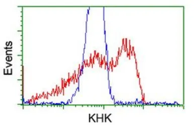Anti-Ketohexokinase antibody [3D1] used in Flow cytometry (FCM). GTX84277