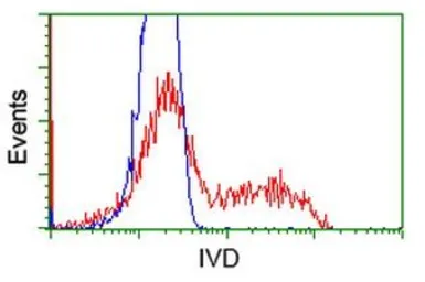 Anti-IVD antibody [5A11] used in Flow cytometry (FCM). GTX84284
