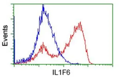 Anti-IL1F6 antibody [3A2] used in Flow cytometry (FCM). GTX84297