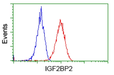 Anti-IGF2BP2 antibody [3G7] used in Flow cytometry (FCM). GTX84303