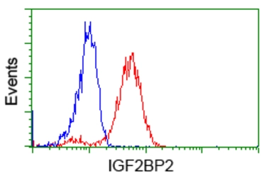 Anti-IGF2BP2 antibody [3G7] used in Flow cytometry (FCM). GTX84303