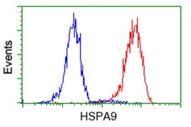 Anti-Grp75 antibody [9F8] used in Flow cytometry (FCM). GTX84331