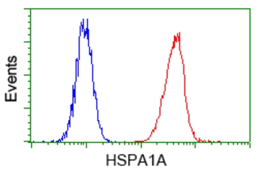 Anti-Hsp70 antibody [5F3] used in Flow cytometry (FCM). GTX84340