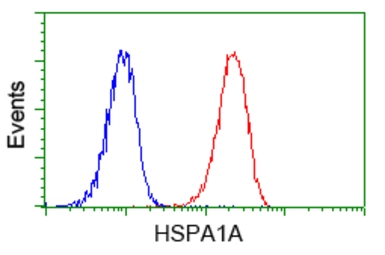 Anti-Hsp70 antibody [5F3] used in Flow cytometry (FCM). GTX84340