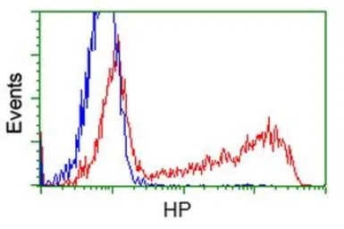 Anti-Haptoglobin antibody [1B1] used in Flow cytometry (FCM). GTX84351
