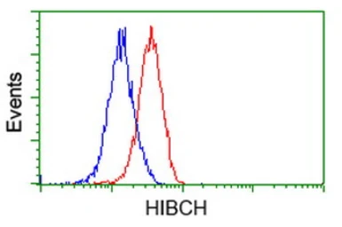 Anti-HIBCH antibody [1C7] used in Flow cytometry (FCM). GTX84362