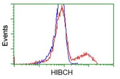 Anti-HIBCH antibody [1C7] used in Flow cytometry (FCM). GTX84362