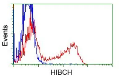 Anti-HIBCH antibody [3H5] used in Flow cytometry (FCM). GTX84364