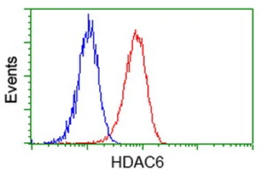 Anti-HDAC6 antibody [1D11] used in Flow cytometry (FCM). GTX84379