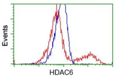 Anti-HDAC6 antibody [1D11] used in Flow cytometry (FCM). GTX84379