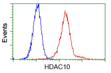 Anti-HDAC10 antibody [2H6] used in Flow cytometry (FCM). GTX84387