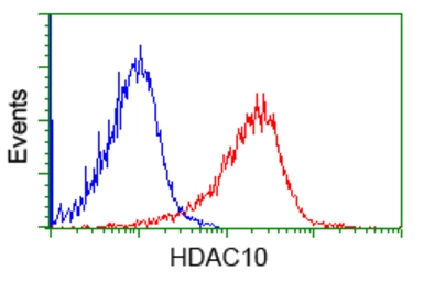 Anti-HDAC10 antibody [2H6] used in Flow cytometry (FCM). GTX84387