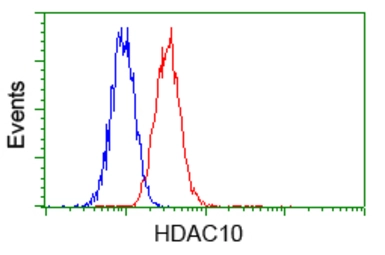 Anti-HDAC10 antibody [3C2] used in Flow cytometry (FCM). GTX84388