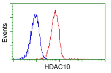 Anti-HDAC10 antibody [3C2] used in Flow cytometry (FCM). GTX84388